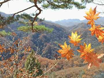 北查村最新天气预报