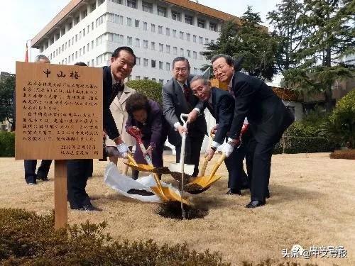 日本宫崎县宫崎市，探寻美丽的海滨城市之旅