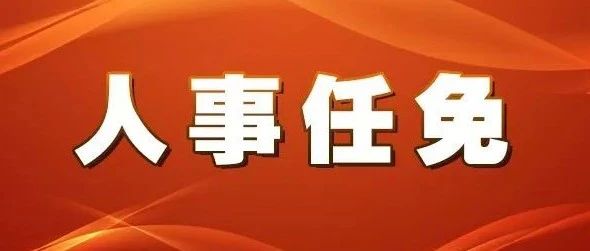 陈家桥乡最新人事任命揭晓