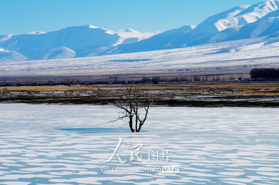 巴里坤哈萨克自治县审计局人事调整，新任命的领导团队与展望