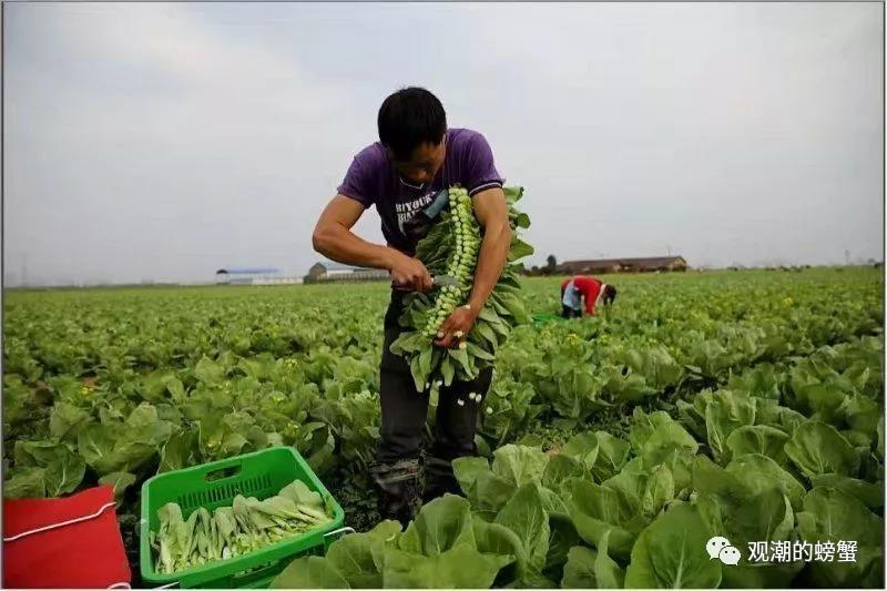 清水县人力资源和社会保障局新任领导风采