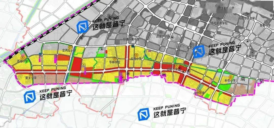 2025年2月20日 第84页