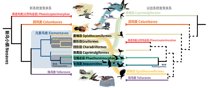 新澳精准资料免费提供265期_科学探讨解答解释路径_时尚版545.911