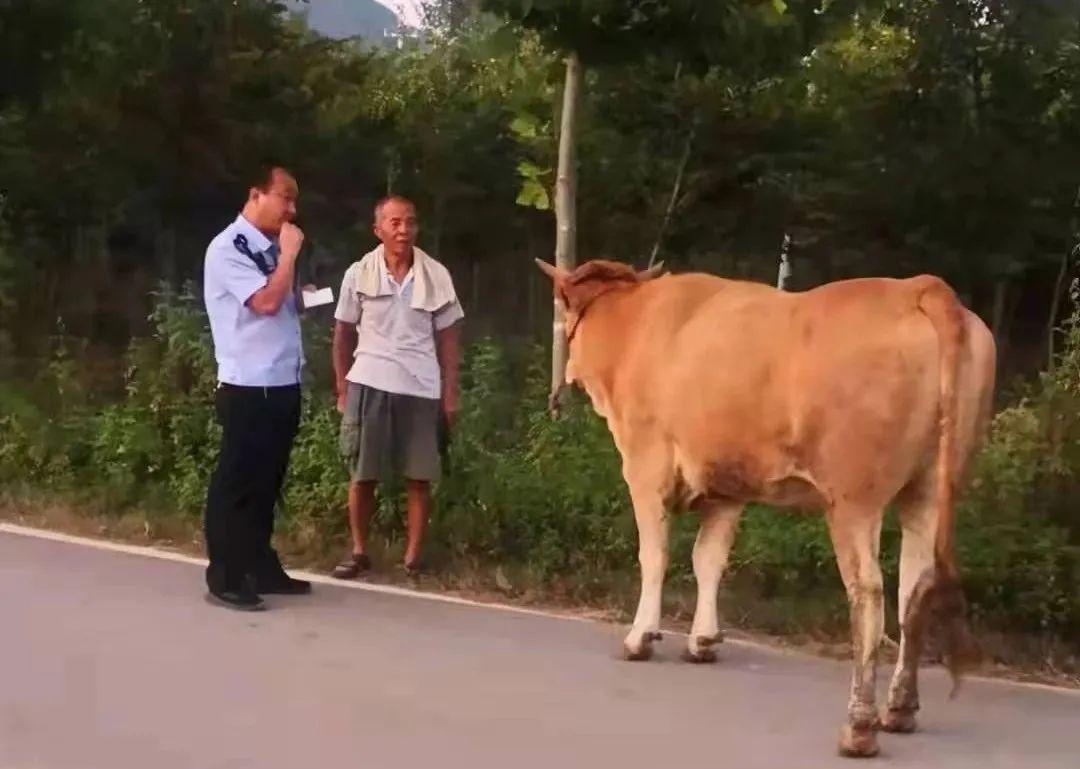 广阳区公安局新任领导团队，引领未来，筑牢安全防线