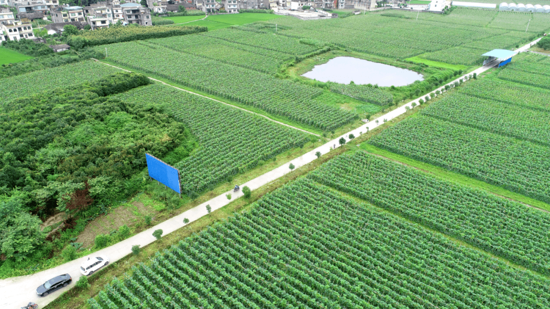 芦塬村民委员会最新项目，乡村振兴的新动力